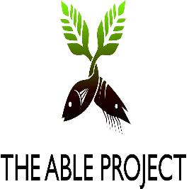 Supported Placements